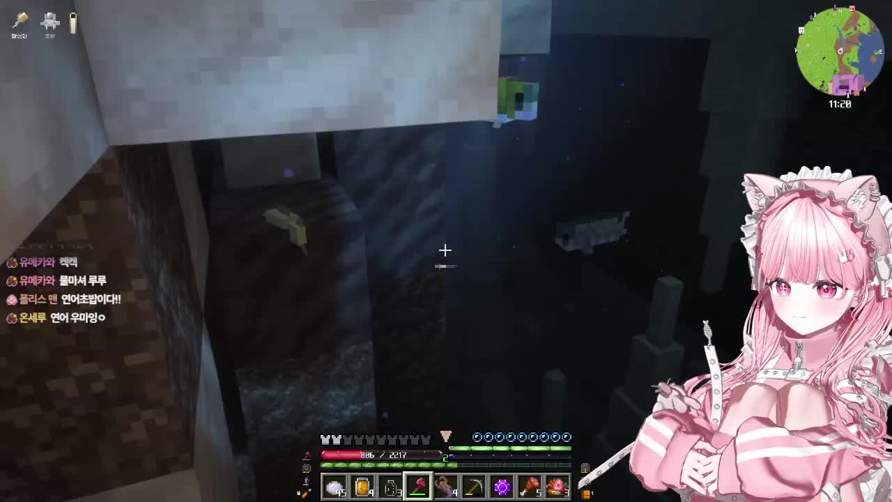 🩷 태생서포터의 정글 도전기 ㅇㅅ ㅇ