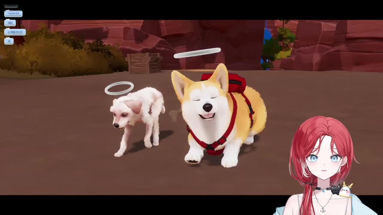 막차 끝칸 댕댕이 겜 / 포트나이트