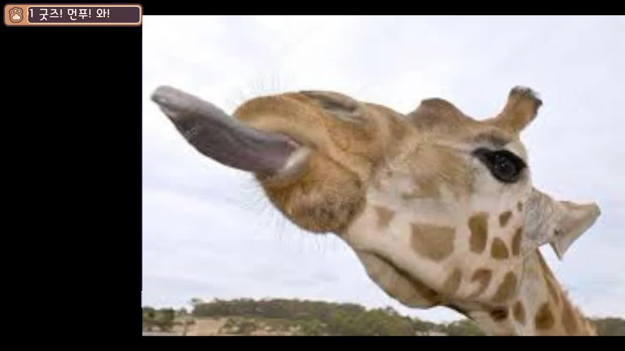 로블록스는 뭘 하는 공간일까?