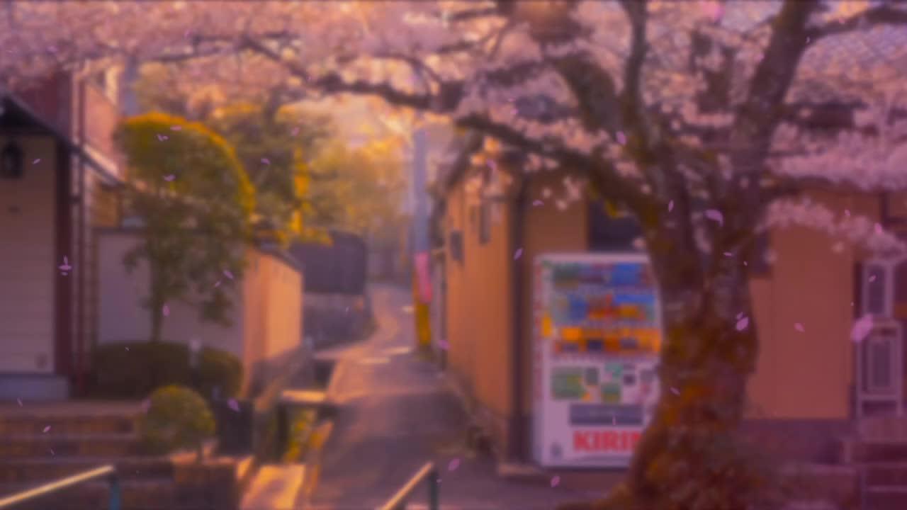 불금인데 왤케 허전하지?