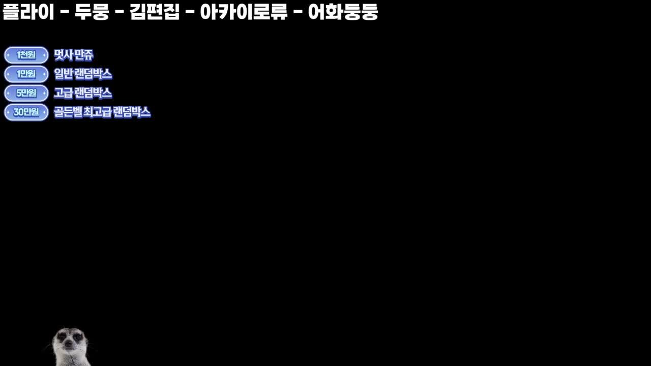 [멋사 공책RPG ] 벨로나 퍼크 준비