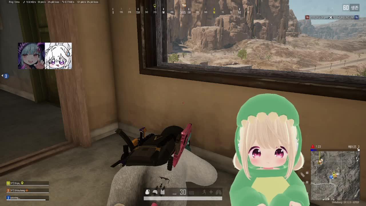 [자낳대: PUBG SUBZERO] 14팀 