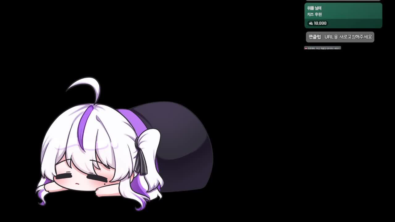 [V] 곰티어 김모잉 두두둥장💜