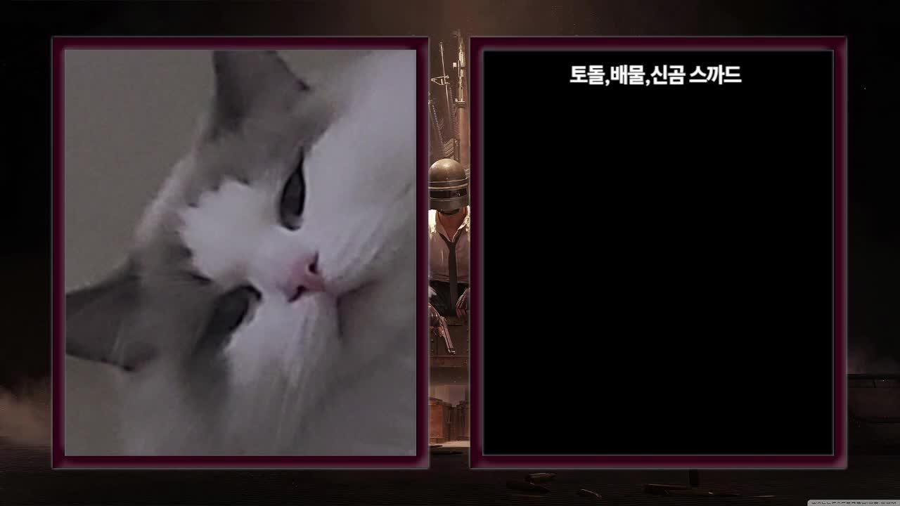 배그 9주년 어셈블 5티어