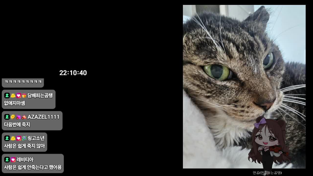 [한강 서버] 한강 서버 들어가 보자!!