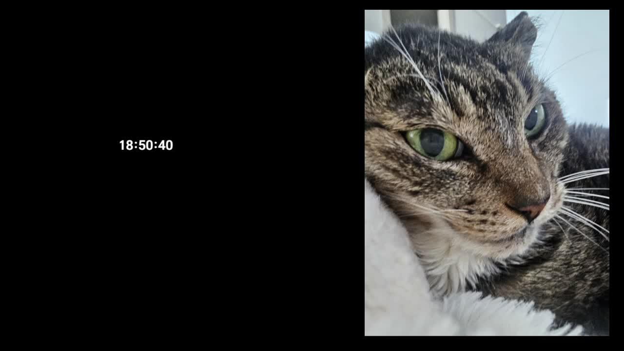 온몸 근육통...