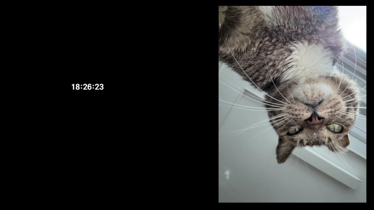 연약해져서 데드리프트 20kg밖에 못치게 되어 버렸...!