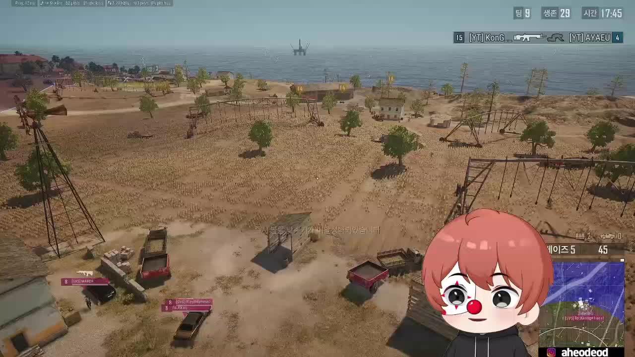 통통배 코치