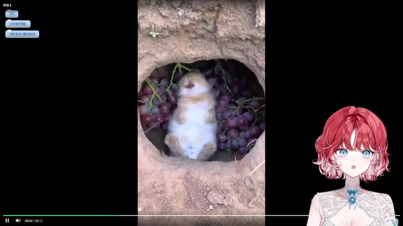 카페탐방 하고 싱드컵 노래 고르기