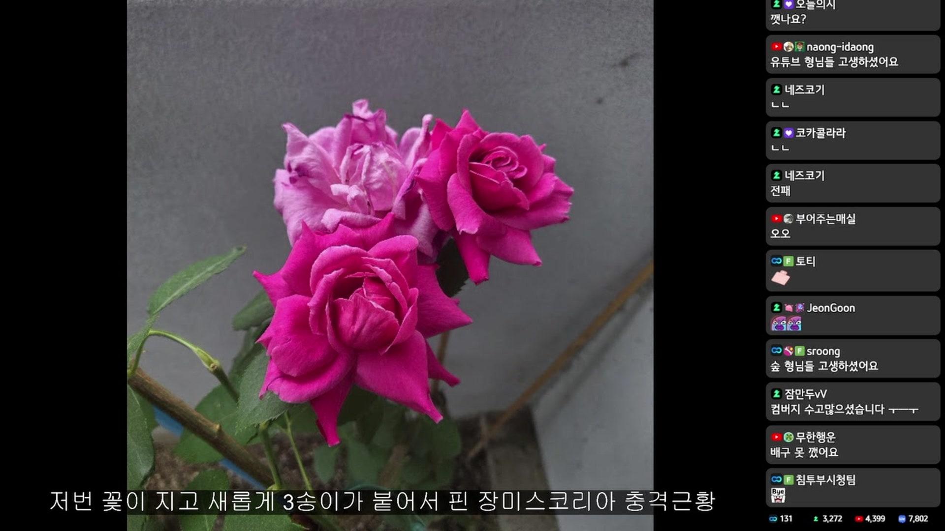 침착맨 - 리듬 천국 미라클 스타즈