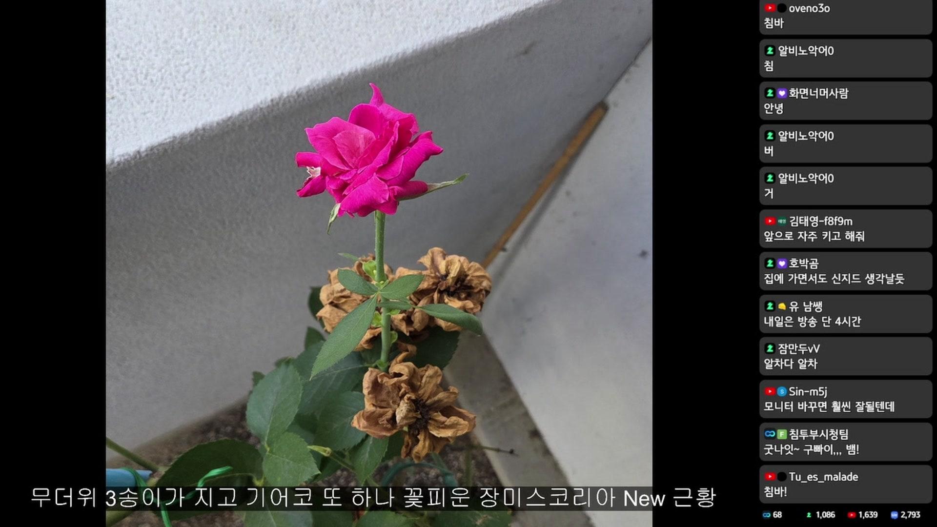 침착맨 - 종합 게임