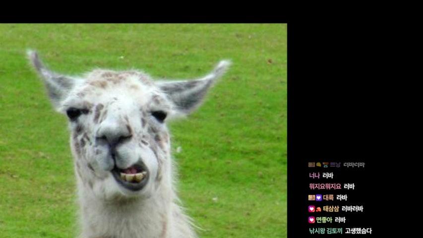 안녕하세여