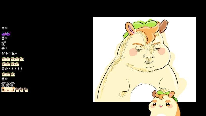 김뿡 라이브 미리보기