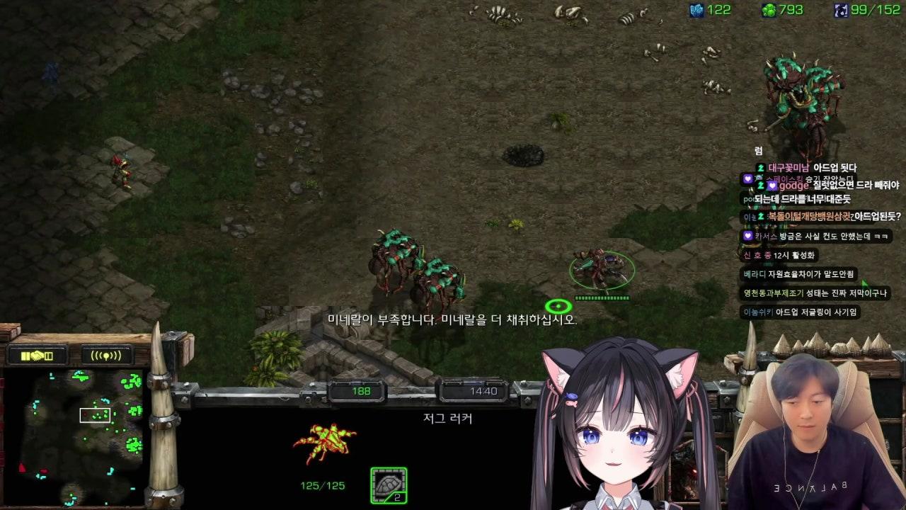 서새봄냥 SEBOM 라이브 썸네일