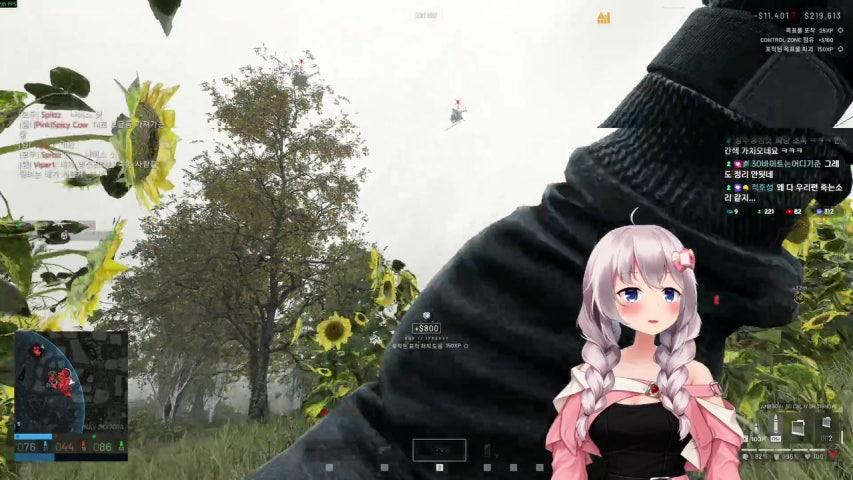 신 의상. AMR 해금 완