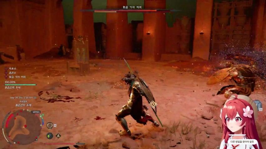 Preview of 꽃핀 (Flower Pin)'s stream