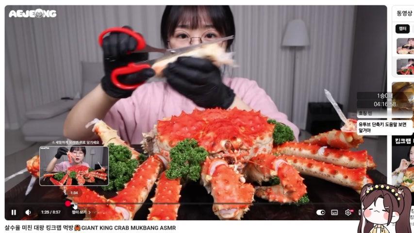 빛나람 starnaram 라이브 미리보기