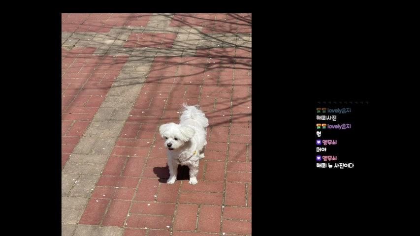 방송화면 썸네일