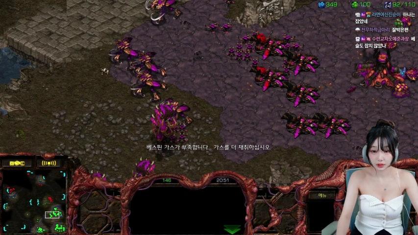 수련수련 라이브 미리보기