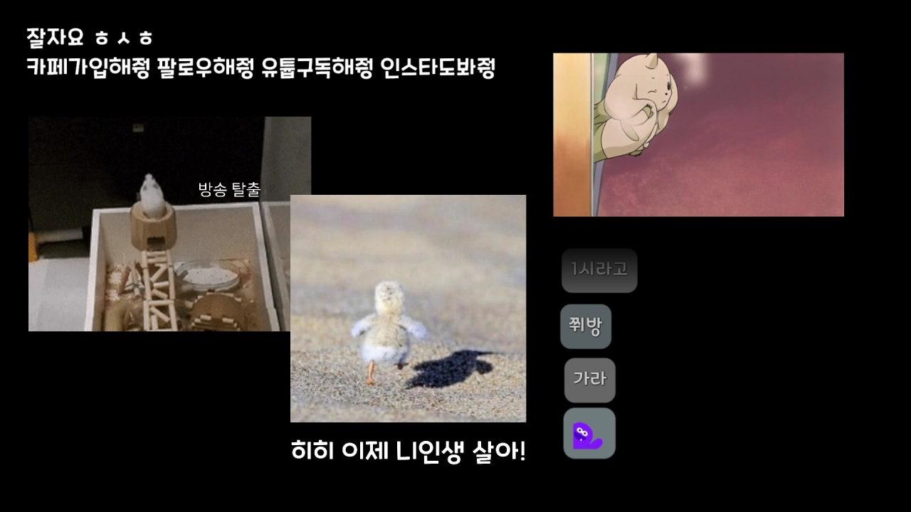 찌모찌모햄 라이브 썸네일