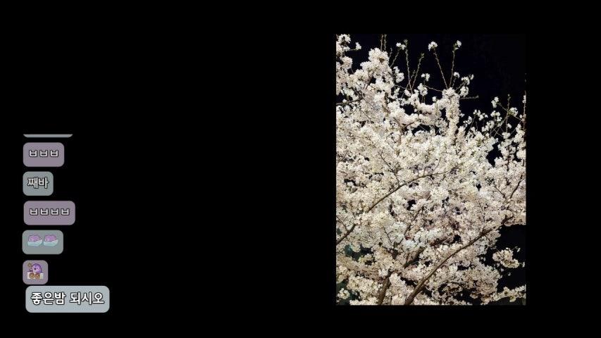 그냥째원 라이브 미리보기