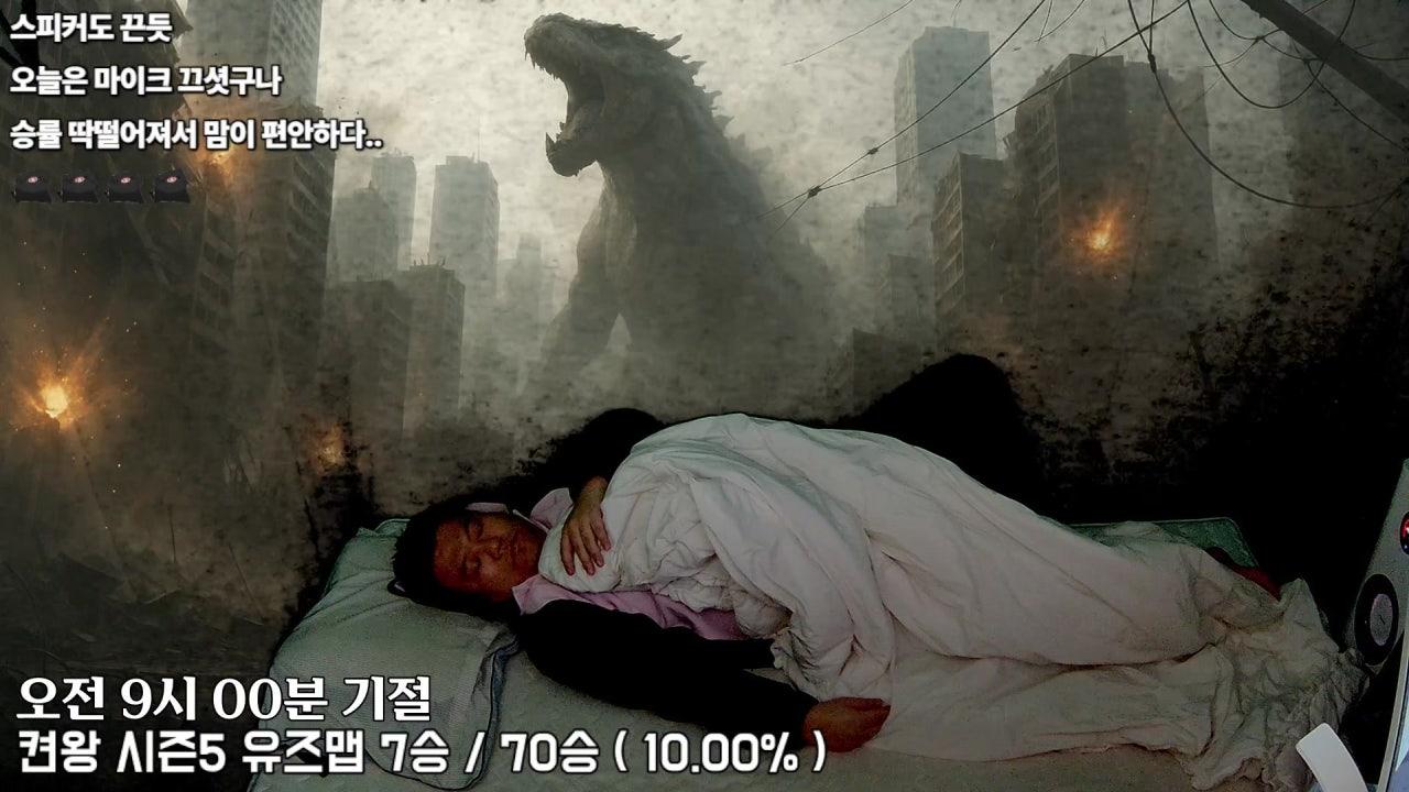 비행돼지 라이브 썸네일