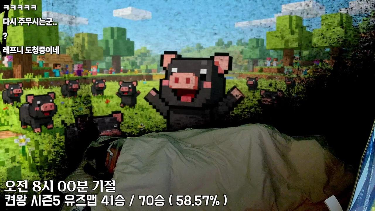 비행돼지 라이브 썸네일