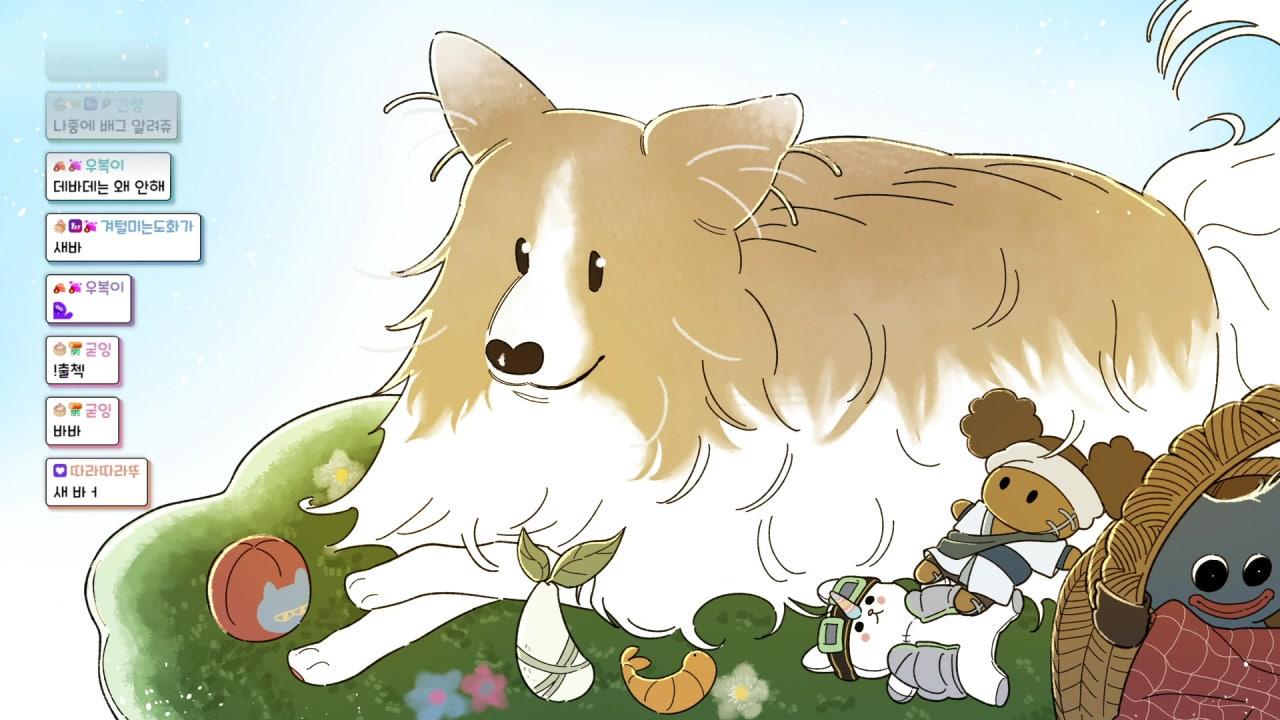 하이새우 라이브 썸네일