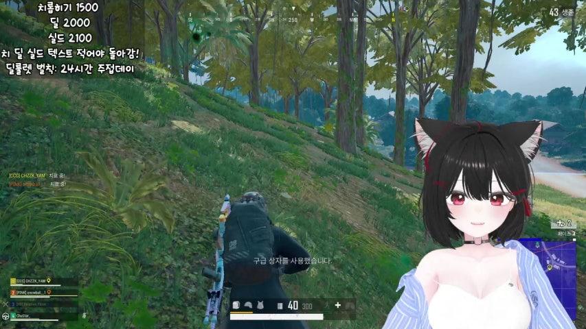 치치얌 라이브 미리보기