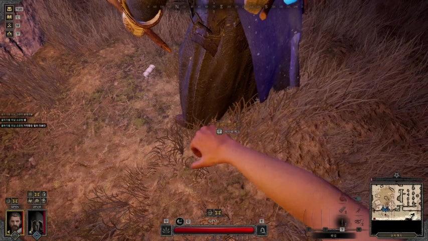 즤포 라이브 이미지