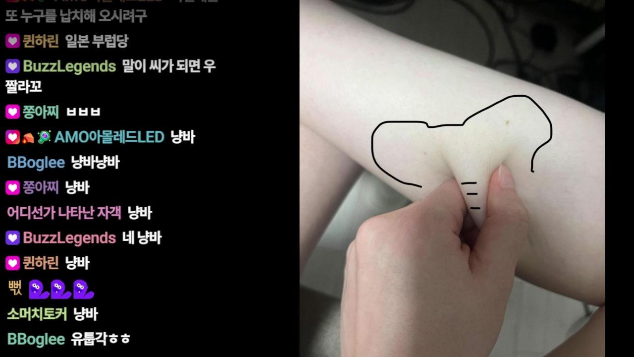 냥청 라이브 썸네일
