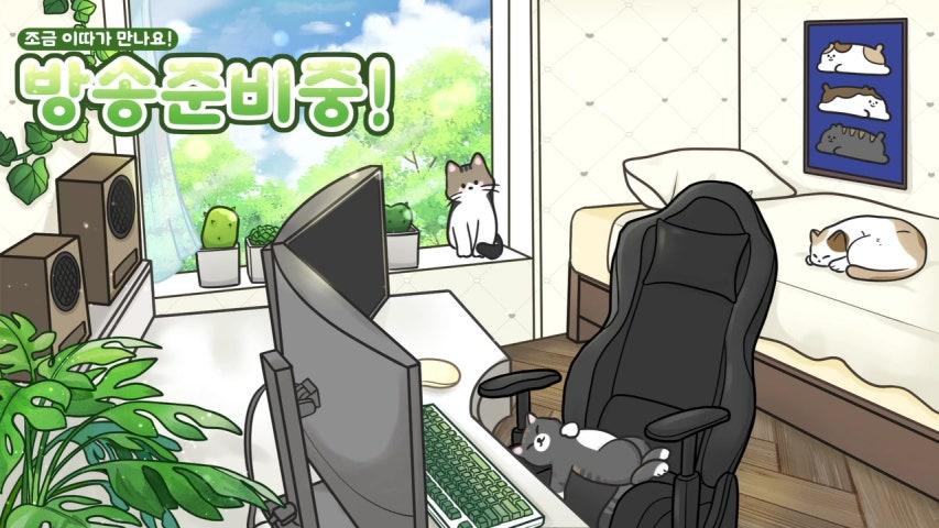 방송화면 썸네일