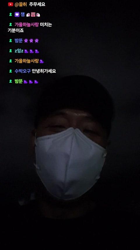 볼가지 bug 라이브 미리보기