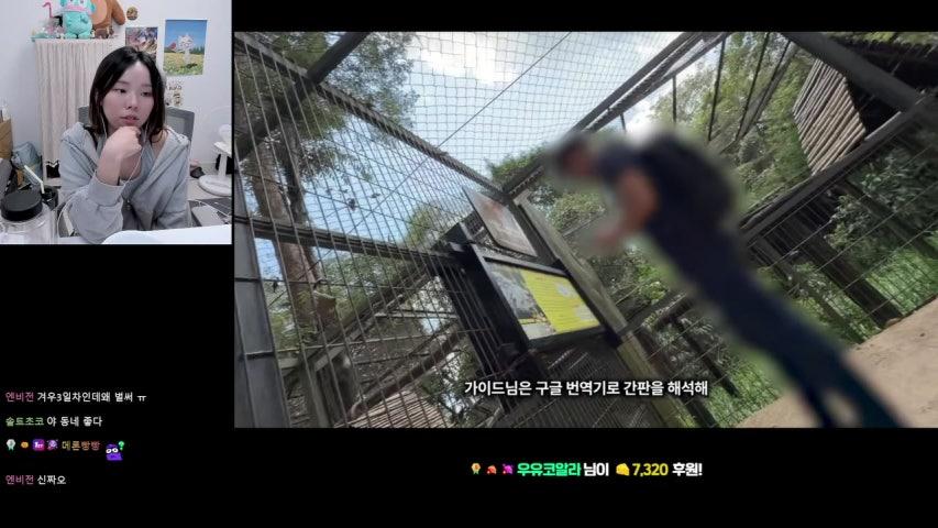 방송화면 썸네일