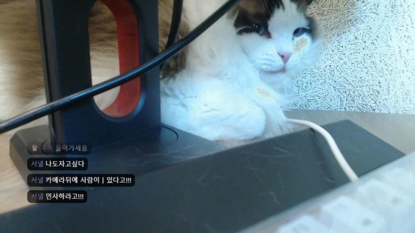 방송화면 썸네일