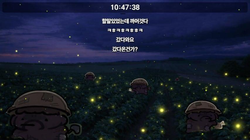 박 노 프 라이브 미리보기