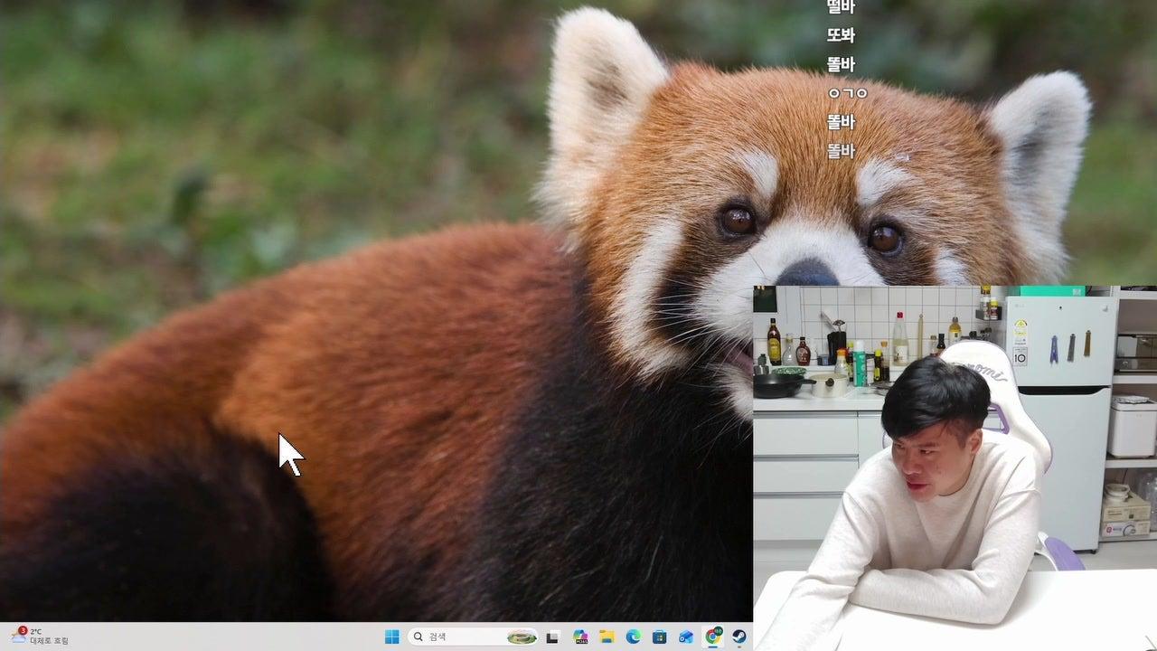 마인클래프트하드코어엔더런도전