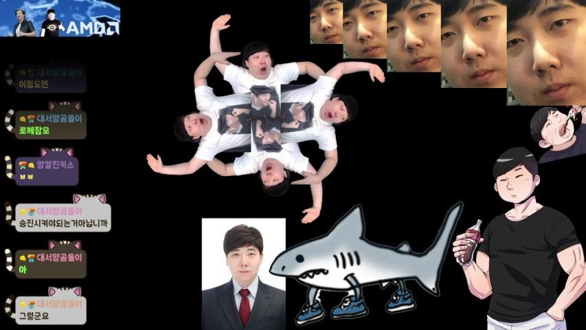 박대봉 라이브 미리보기