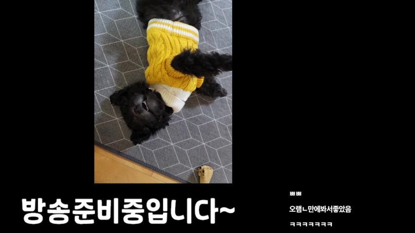 방송화면 썸네일