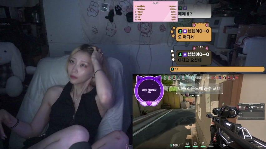 봄세연 라이브 미리보기