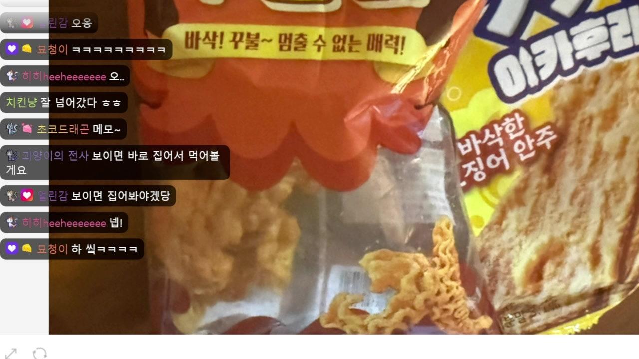 괴양이 라이브 썸네일