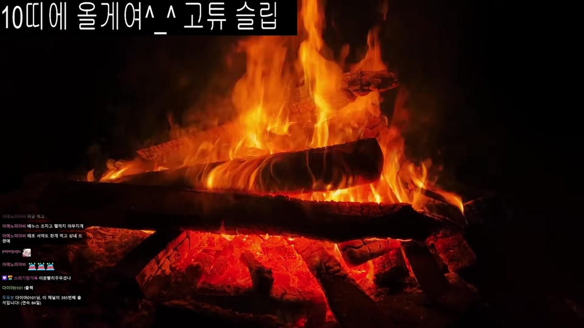 응애 단 - 던전앤파이터