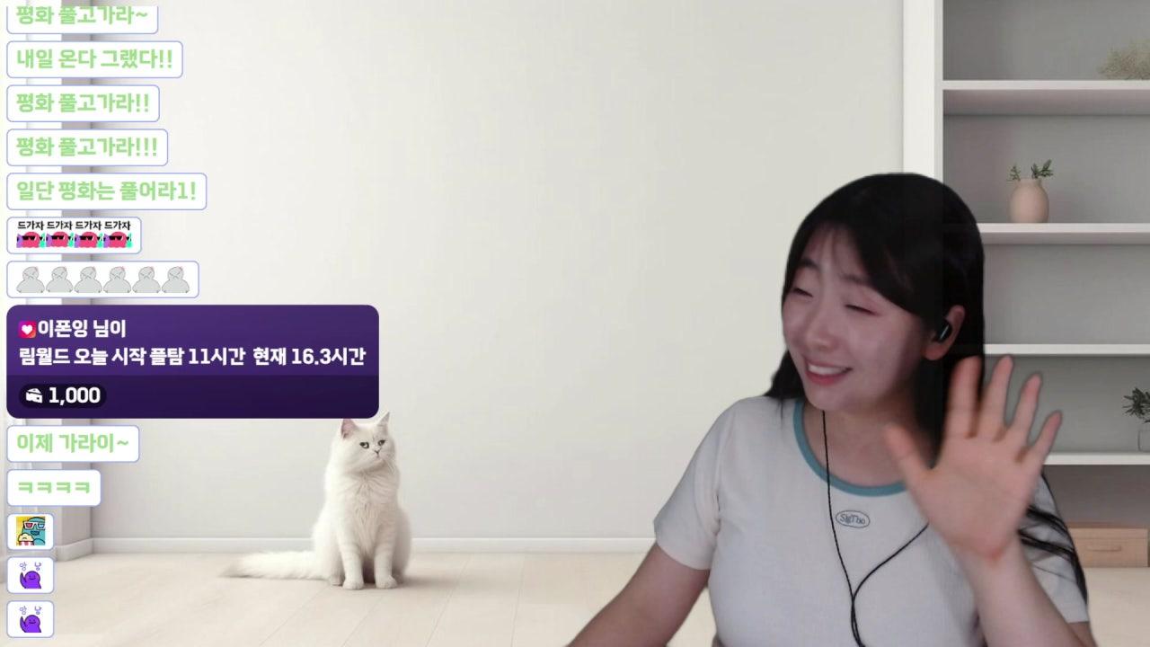 휘이령 라이브 썸네일