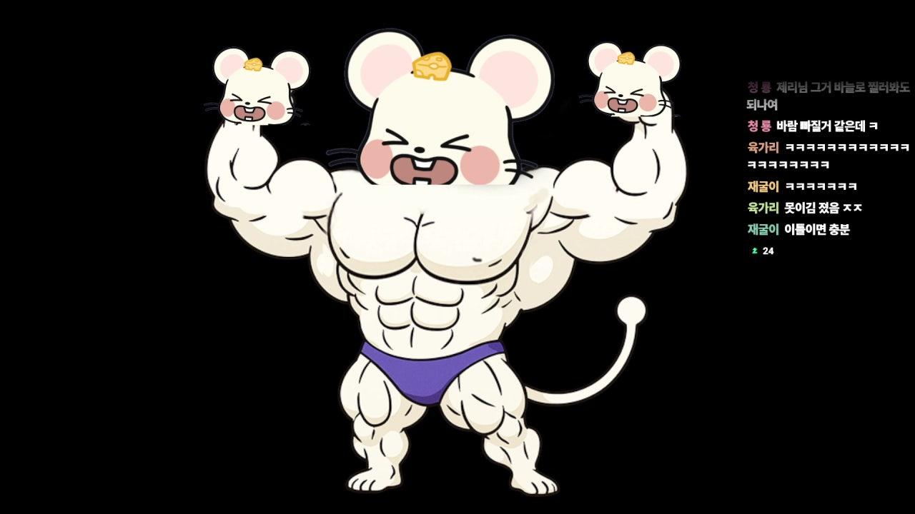 삐제리 라이브 썸네일