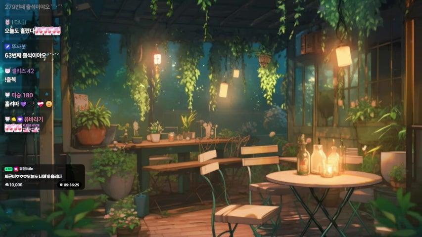 진유연 라이브 미리보기
