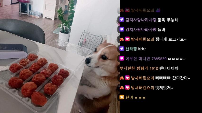 방송화면 썸네일