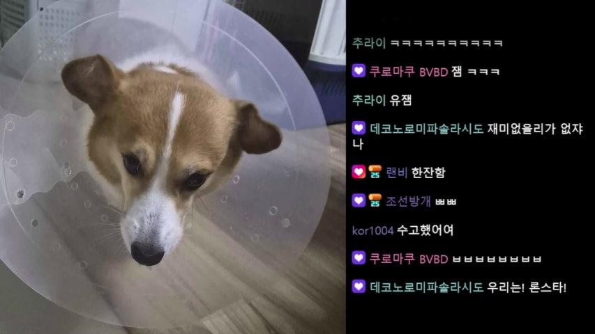 방송화면 썸네일