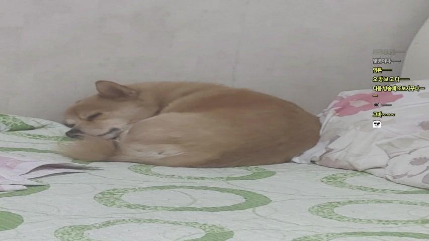 방송화면 썸네일