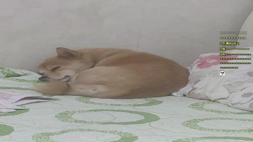 방송화면 썸네일