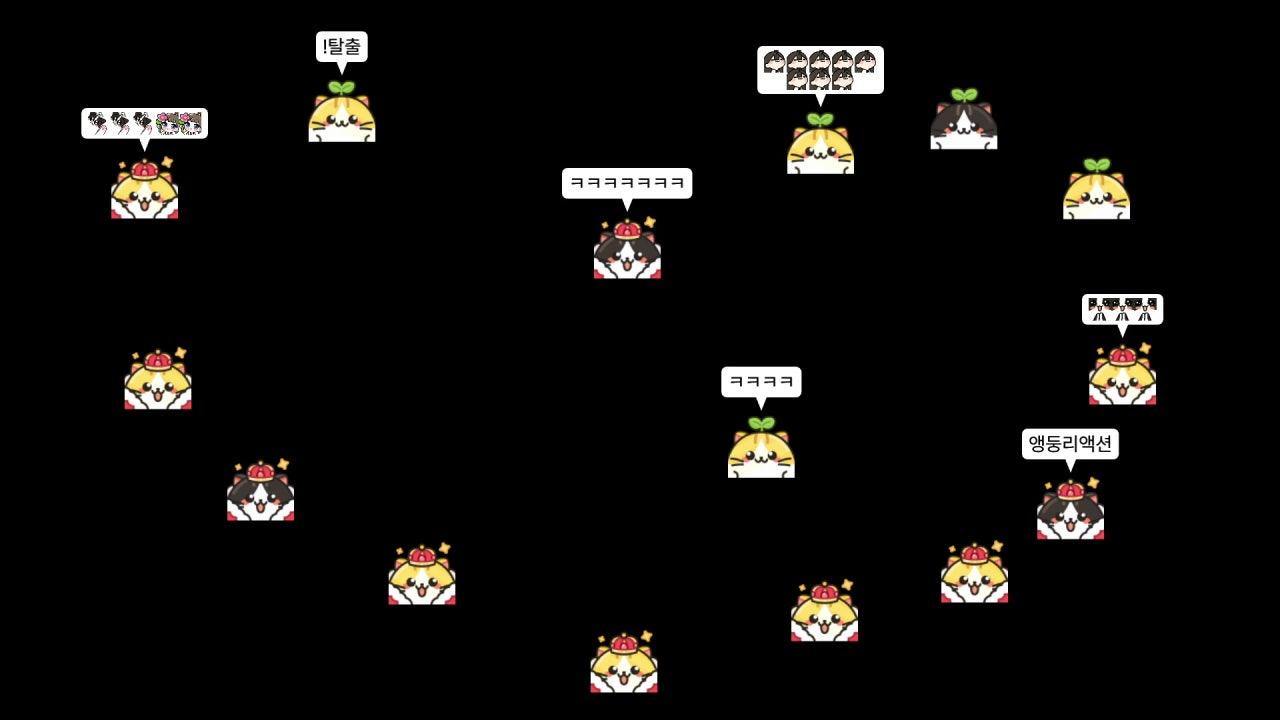 개긋하게 청소해요